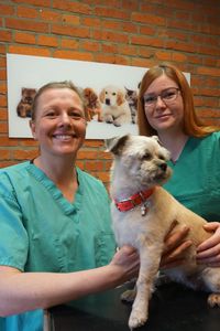 Tierarztpraxis Marie-Luise Maack mit Helferin Laura und H&uuml;ndin Luci